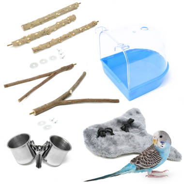 Bird 2024 cage items